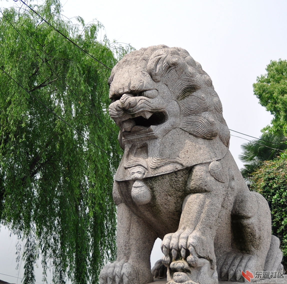 狮子.jpg