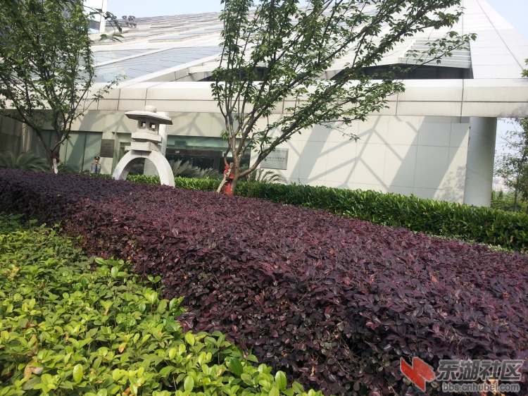 20130426_084952.jpg