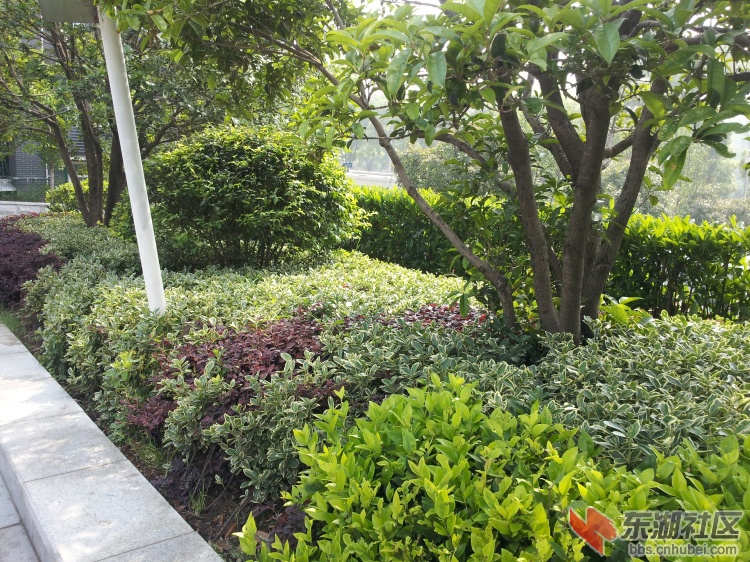 20130426_091618.jpg