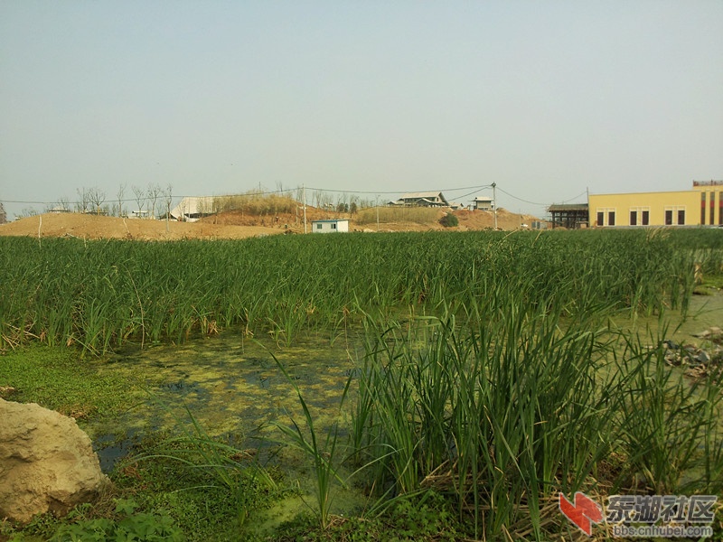 P30421-161131_副本.jpg