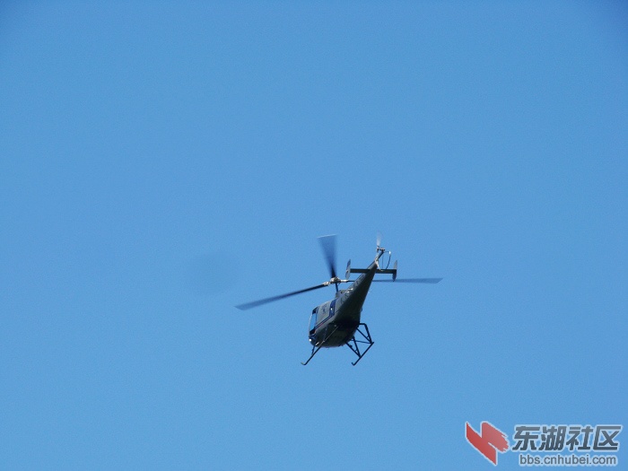 nEO_IMG_DSC00707.jpg