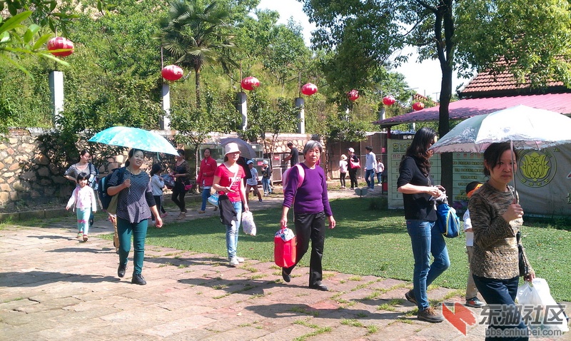 IMAG0093.jpg