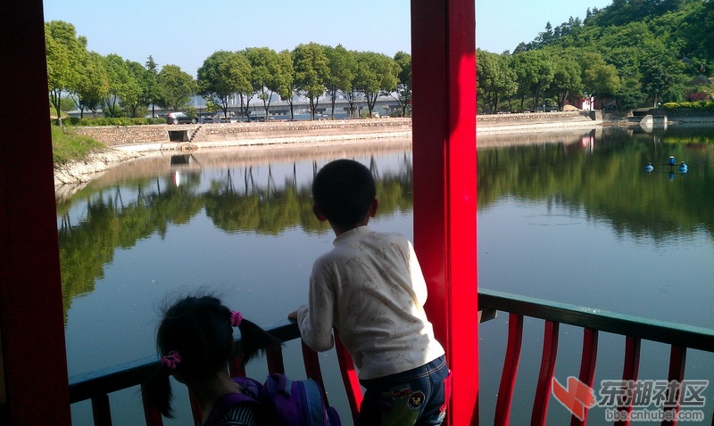 IMAG0094.jpg