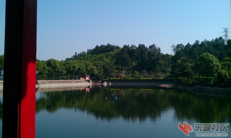IMAG0095.jpg