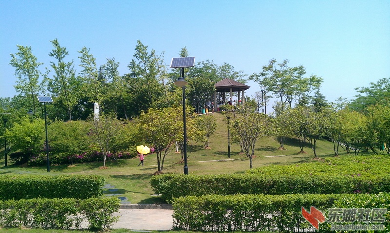 IMAG0098.jpg