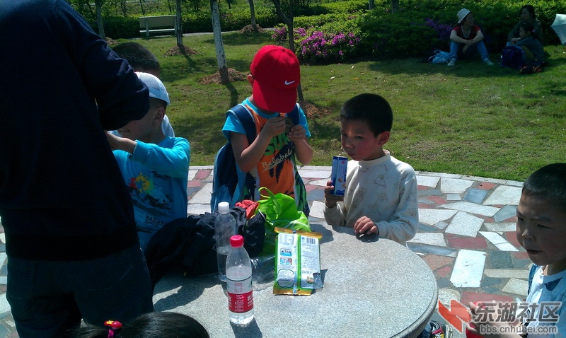 IMAG0102.jpg