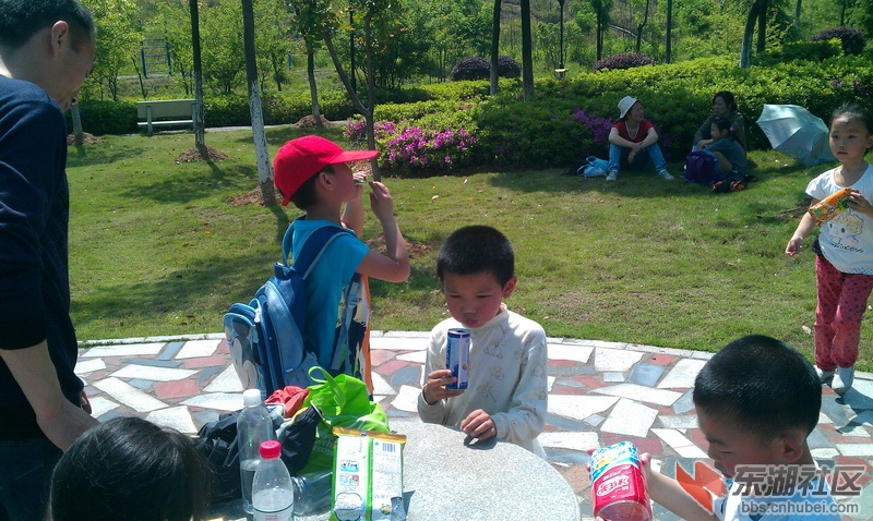 IMAG0103.jpg
