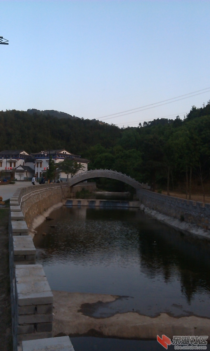 IMAG0126.jpg