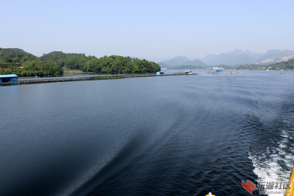 IMG_6881.JPG