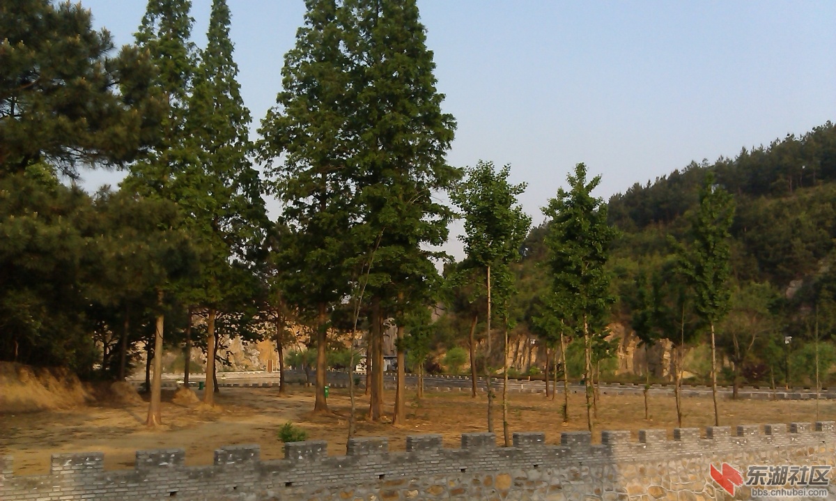 IMAG0135.jpg