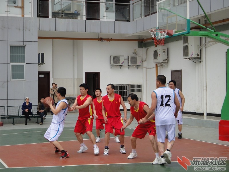 85.jpg