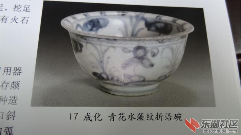DSC07159.jpg