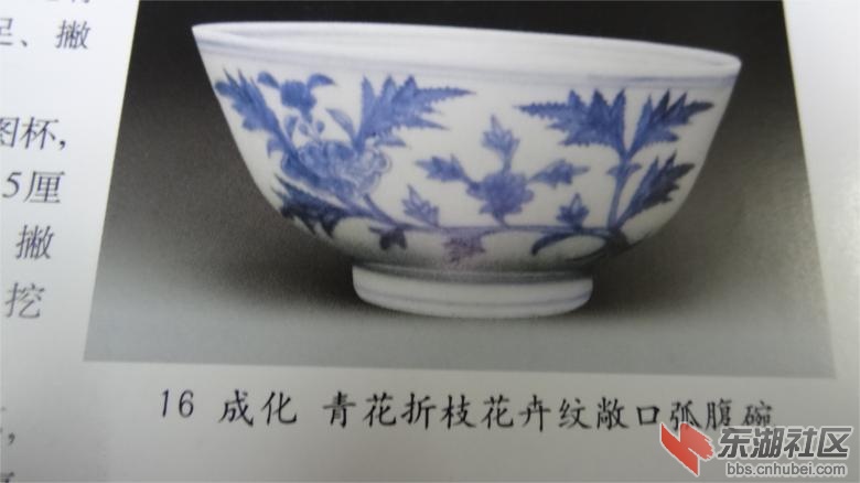 DSC07158.jpg