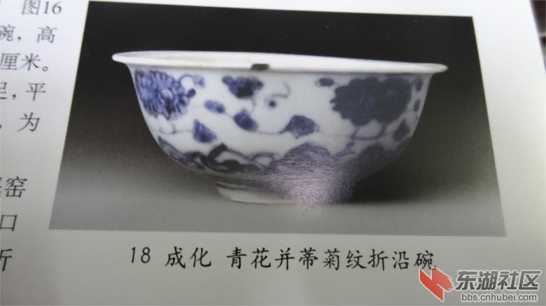 DSC07160.jpg