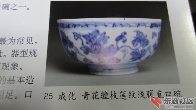 DSC07167.jpg