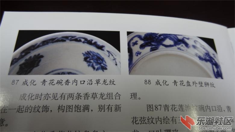 DSC07200.jpg