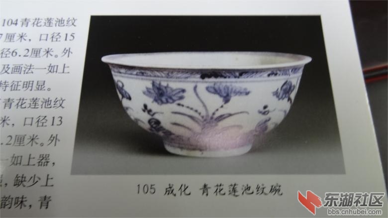 DSC07205.jpg