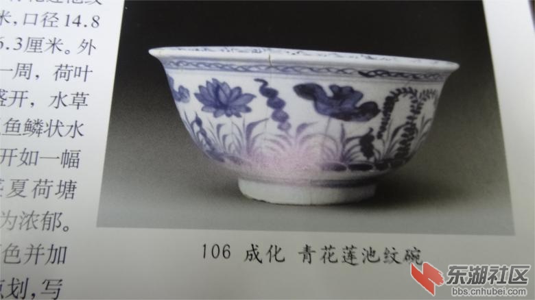 DSC07206.jpg