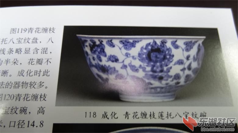 DSC07211.jpg