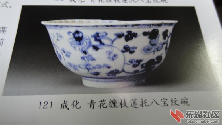 DSC07214.jpg