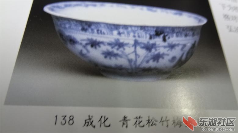 DSC07226.jpg