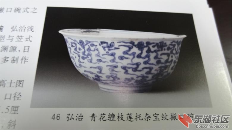 DSC07260.jpg
