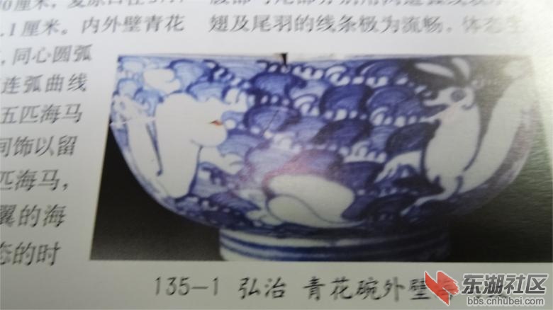 DSC07305.jpg