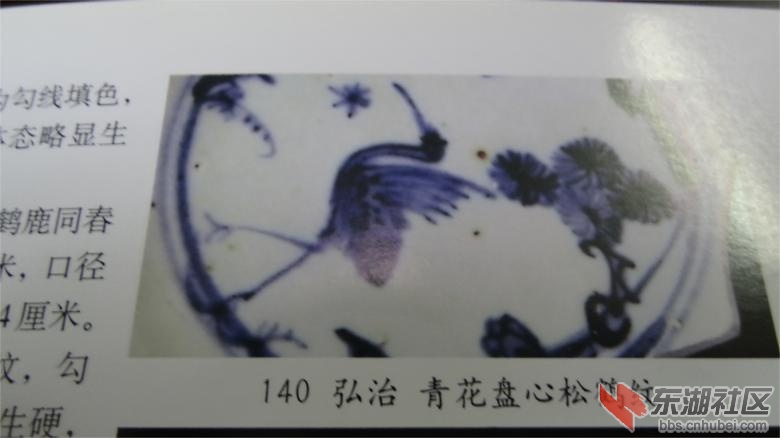 DSC07310.jpg