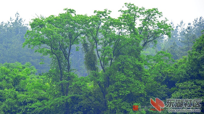毛铺水库美景4.jpg