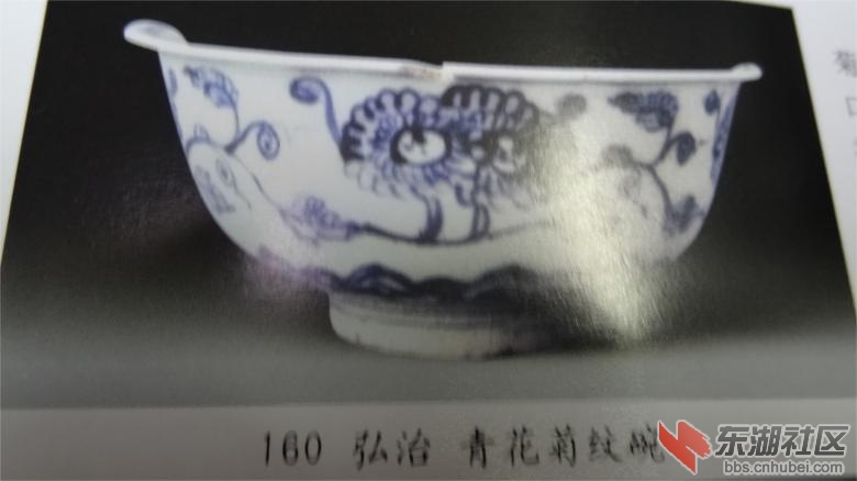DSC07320.jpg