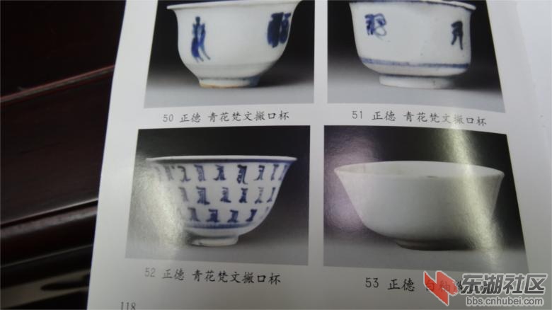 DSC07380.jpg