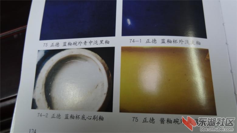 DSC07390.jpg