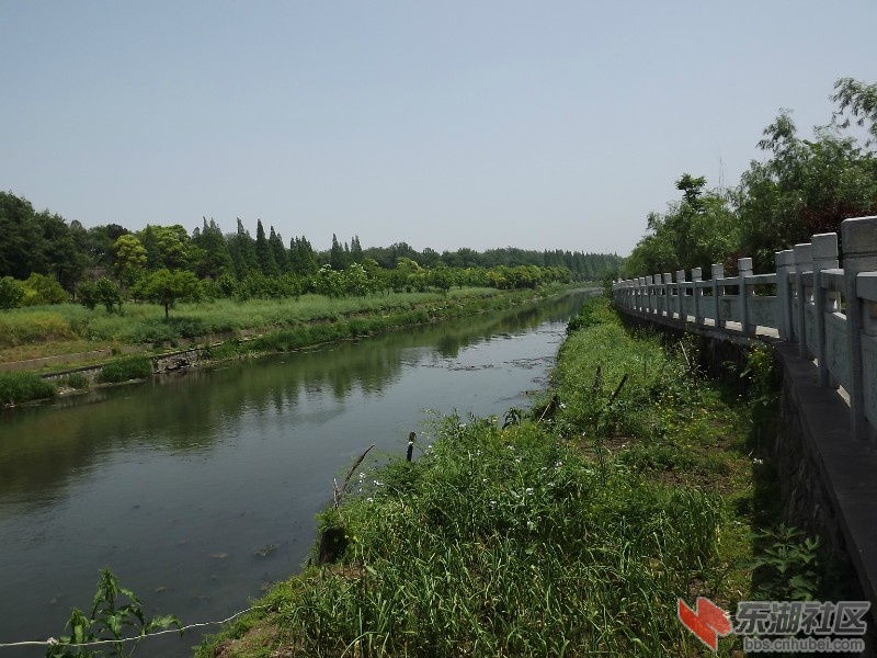 护城河