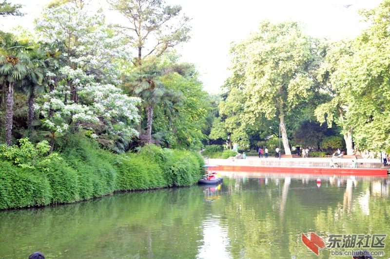 风景.jpg