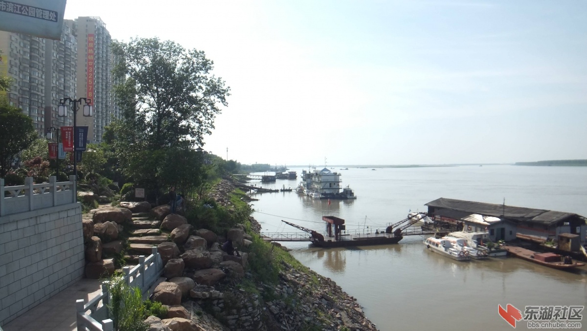 DSCF2940.jpg