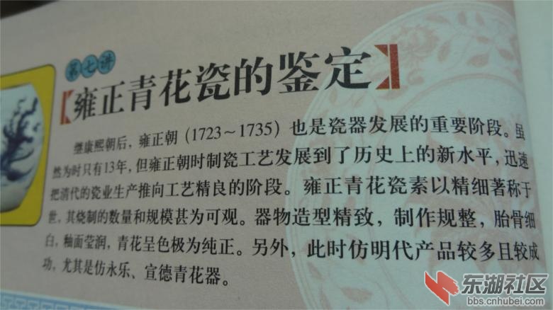 DSC07500 (1).jpg