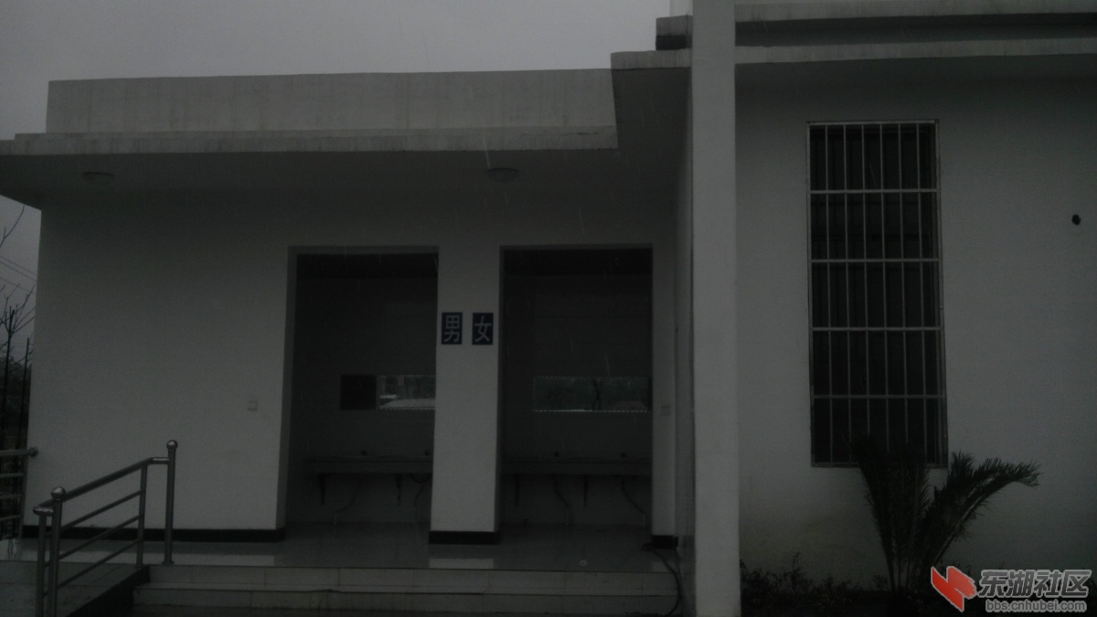 IMAG0783.jpg