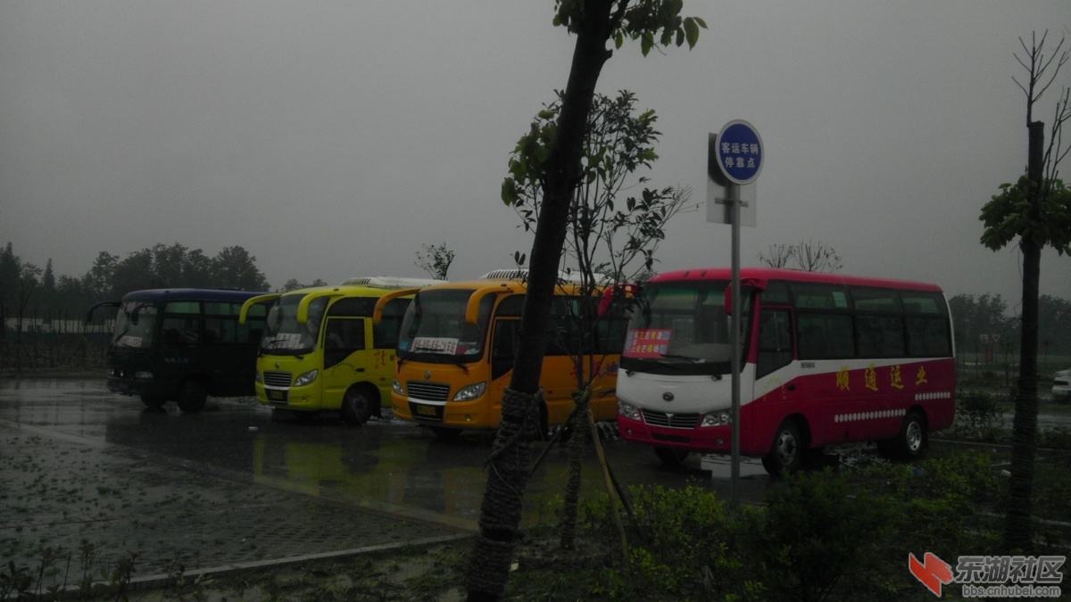 IMAG0789.jpg