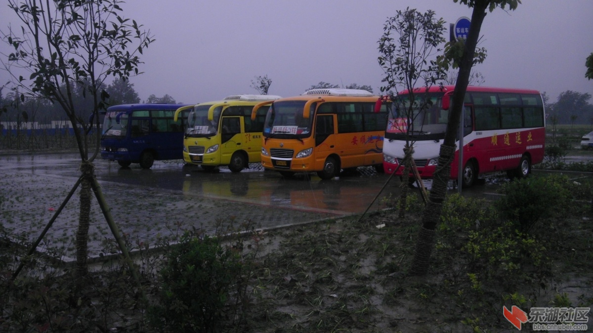IMAG0790.jpg