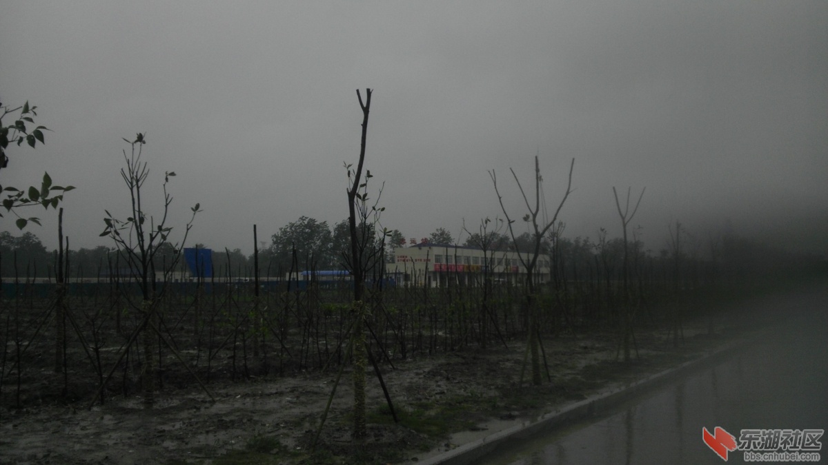 IMAG0786.jpg