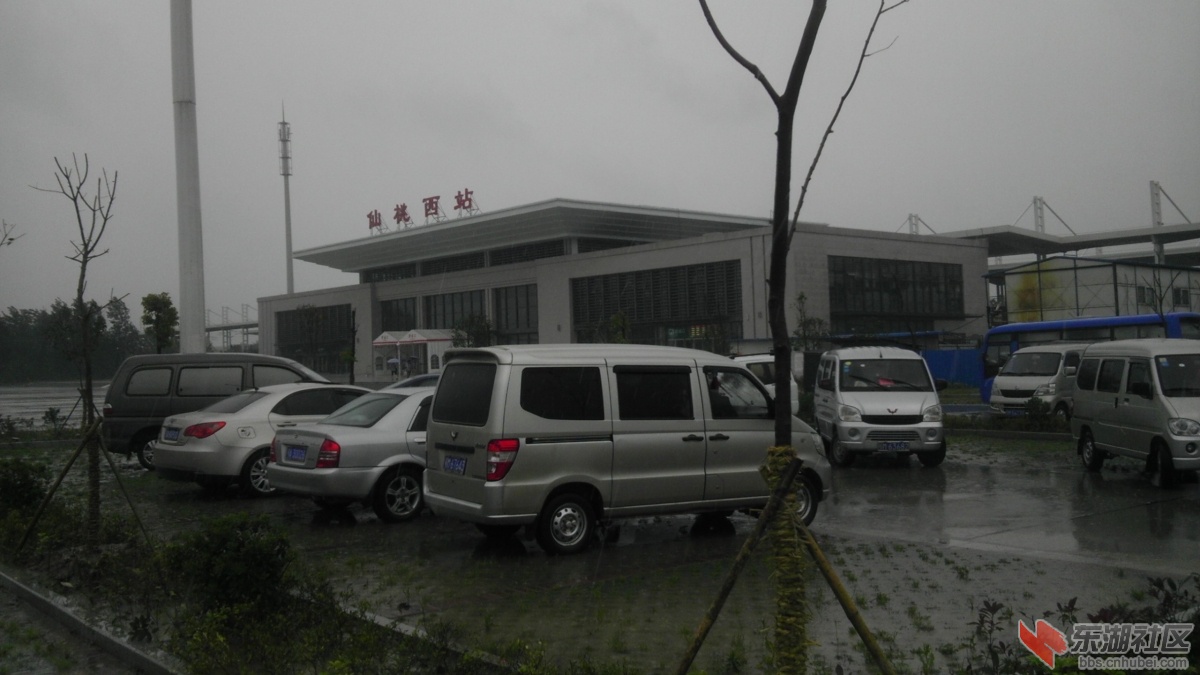 IMAG0787.jpg