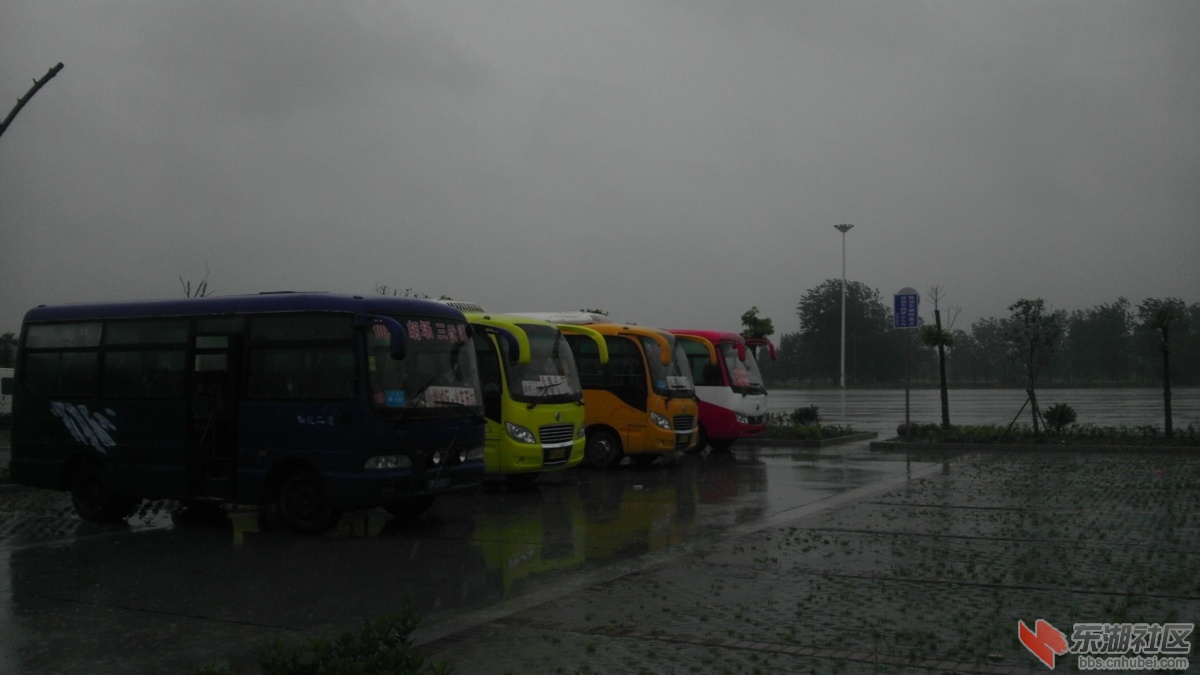 IMAG0788.jpg