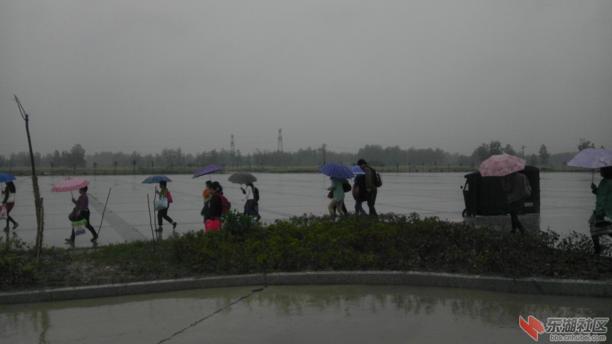 IMAG0799.jpg