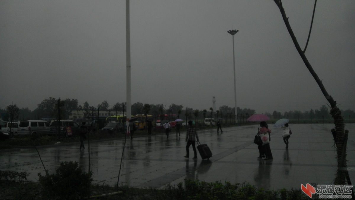 IMAG0795.jpg
