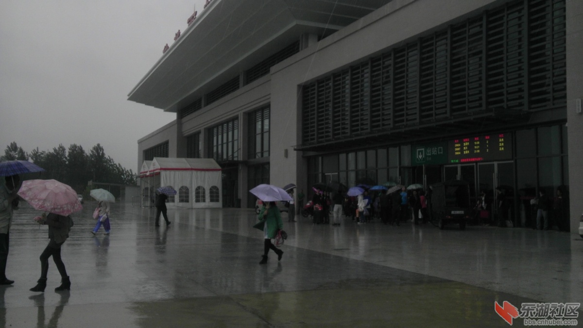 IMAG0798.jpg