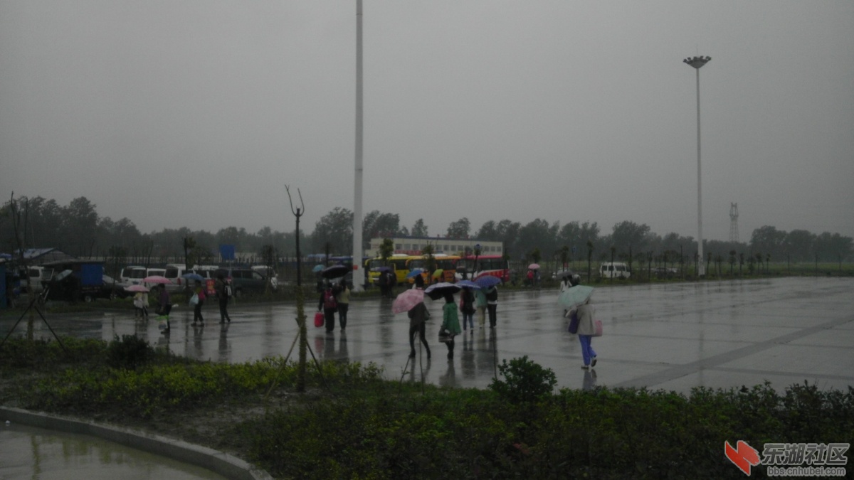 IMAG0800.jpg