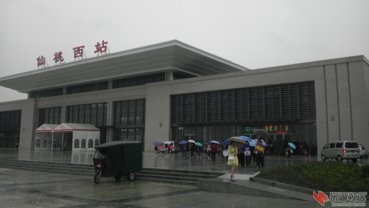 IMAG0802.jpg