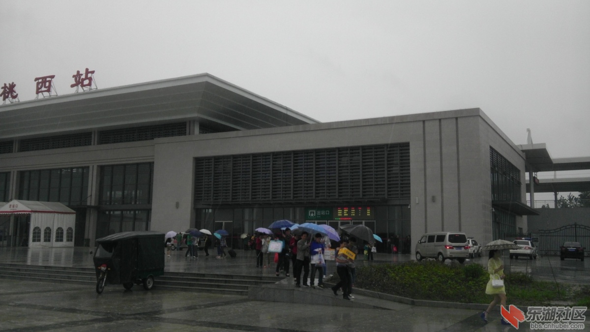 IMAG0803.jpg