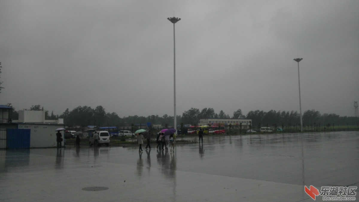IMAG0820.jpg