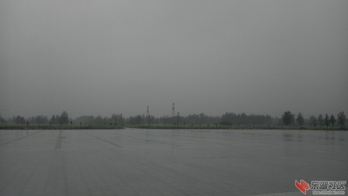 IMAG0810.jpg
